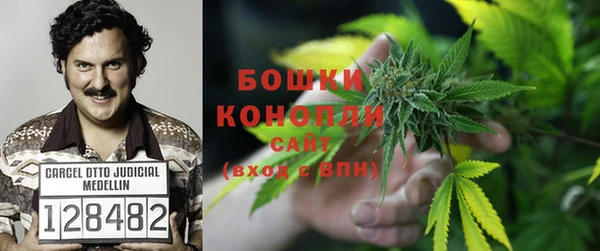 гидропоника Инта