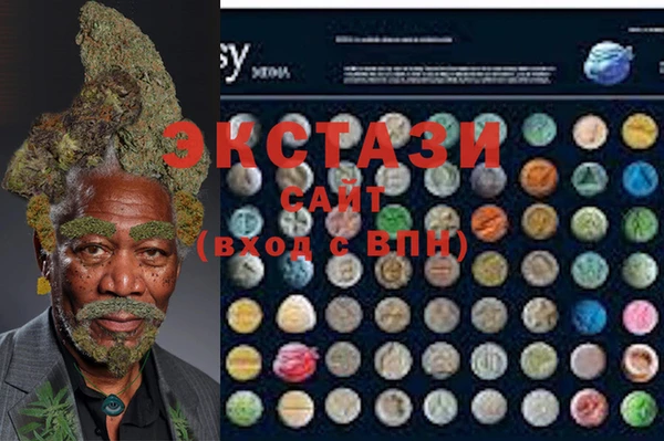 ECSTASY Инсар