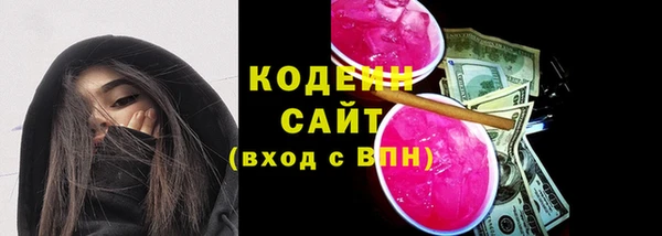 СК Каменногорск