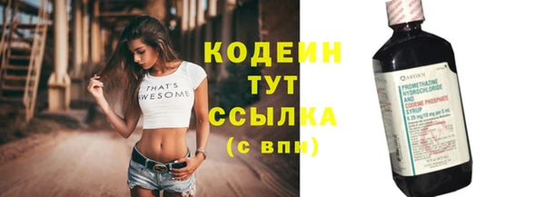 СК Каменногорск