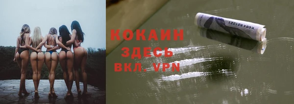 ECSTASY Инсар