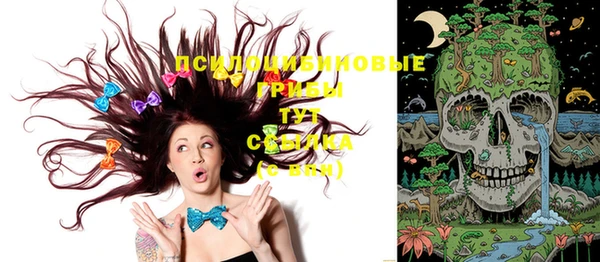ECSTASY Инсар
