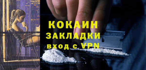 ALPHA PVP Каменка