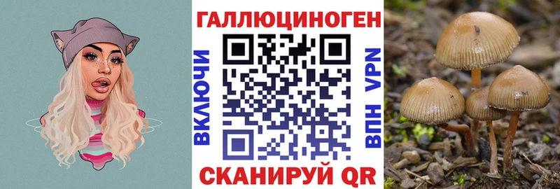 Галлюциногенные грибы GOLDEN TEACHER  Кимры 